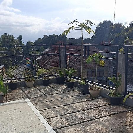 Puri Pilihani Hostel Munduk Exteriér fotografie